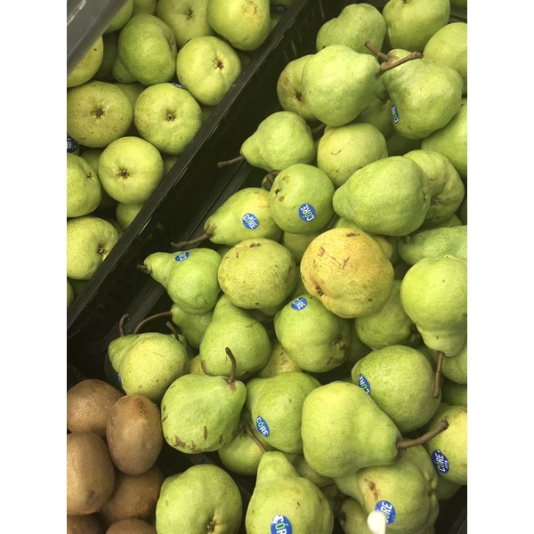 

barang (jangan di co)