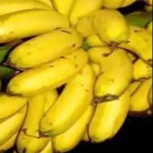 

1 tandan pisang uli ukuran kecil