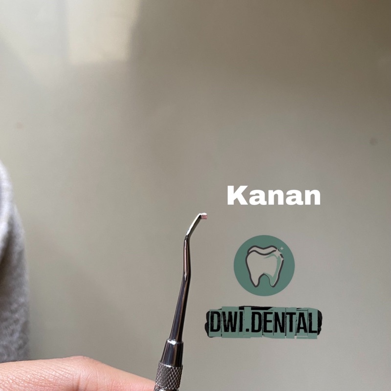 Dental scaller scaler / alat karang gigi hoe kanan kiri