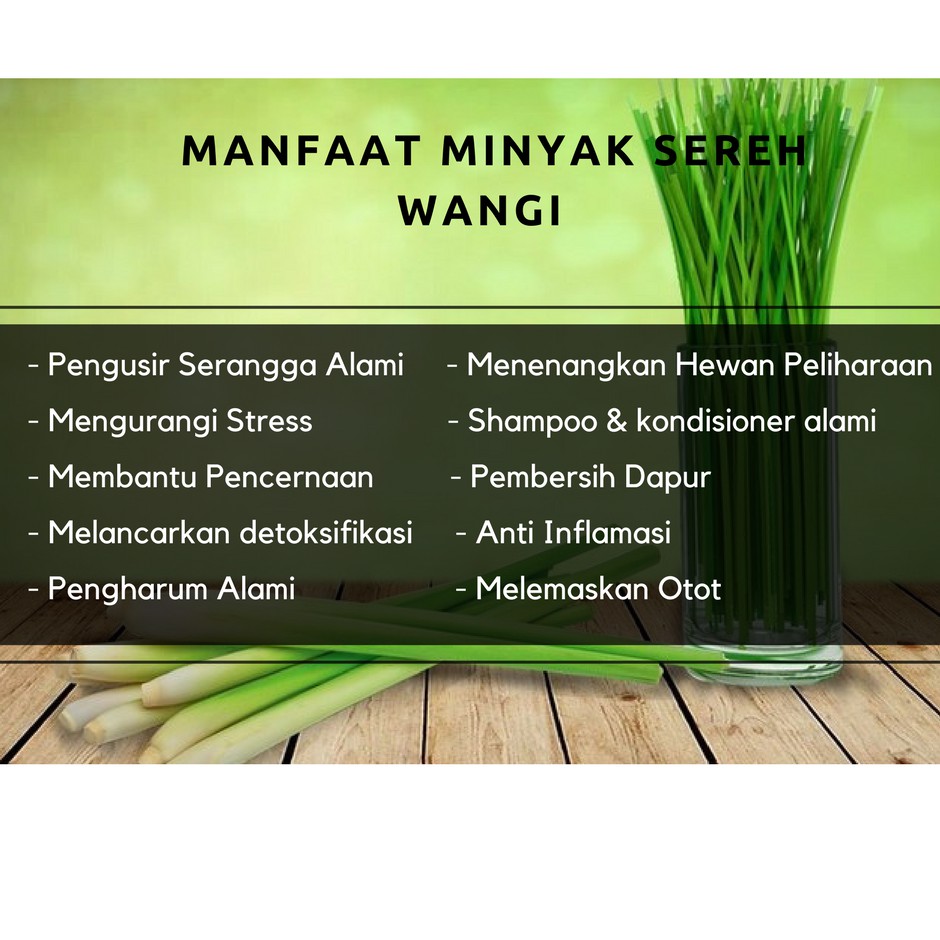 Minyak Sereh Wangi Citronella Oil Murni 100 Ml Shopee Indonesia