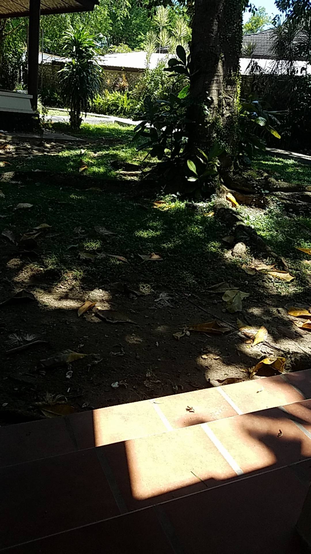 Roundup 486sl 4l Herbisida Pembasmi Rumput 4 Liter Round Up