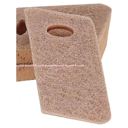 Proclean Spons Scrubber Sisal 3pcs Sponge Spon Cuci Piring Coklat Serat Dari Tumbuhan Pro Clean