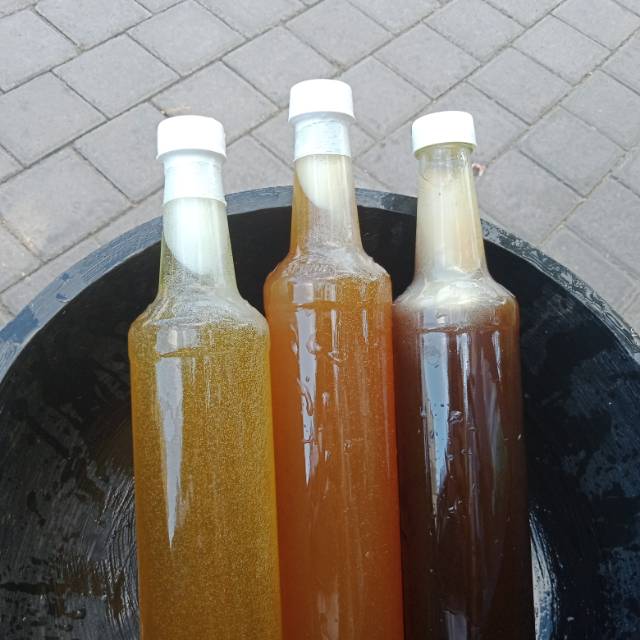 

Madu murni asli