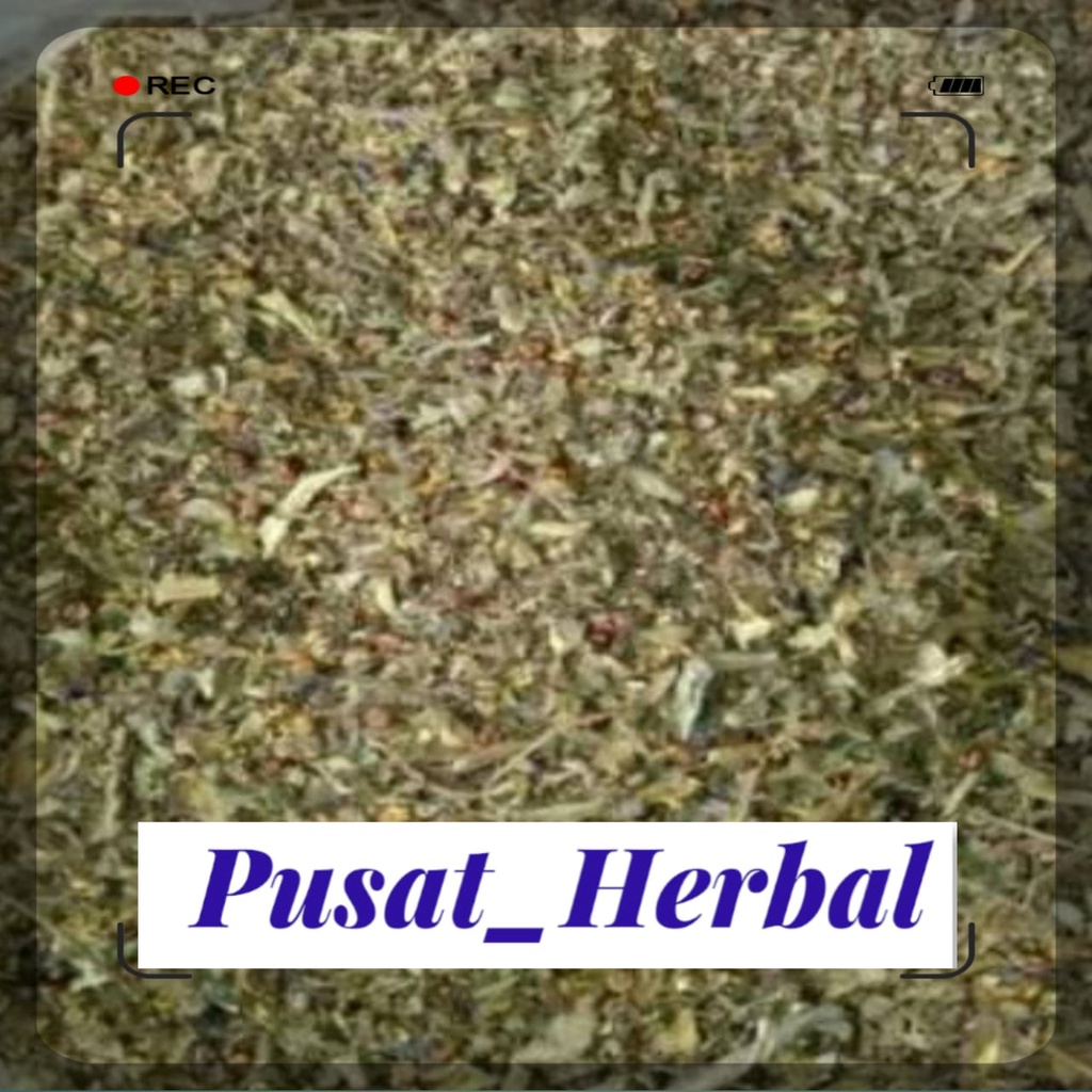 

Daun meniran kering 1kg meniran kering