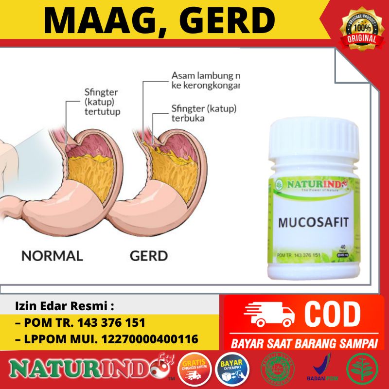 Obat Herbal Asam Lambung Magh Gerd Nyeri Ulu Hati Sakit Perut