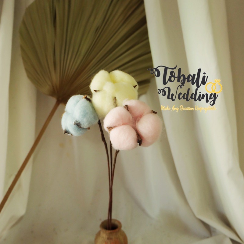 BUNGA KAPAS KERING WARNA