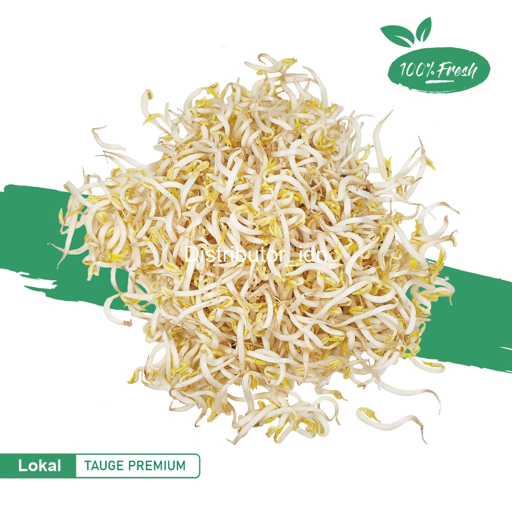 

Toge / tauge premium super