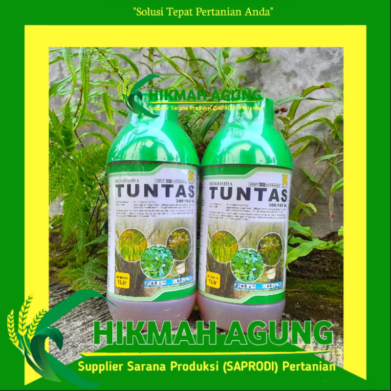 

TUNTAS 300/100 SL 1LITER HERBISIDA PEMBASMI RUMPUT