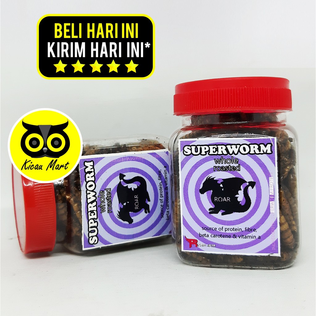 PAKAN MAKANAN BURUNG MURAI KACER ANIS PLECI CUCAK CIBLEK EF SUPER WORM RFAM JAYA ULAT KERING SUPERWO