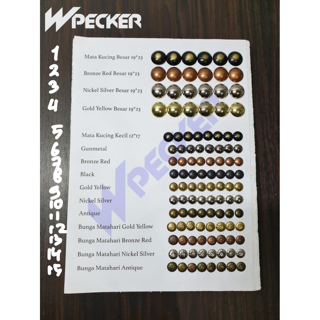 Paku Mata Kucing / Paku Sofa Hias / Paku Pinus Pines / Paku Payung Mebel / Paku Antik Paku Emas