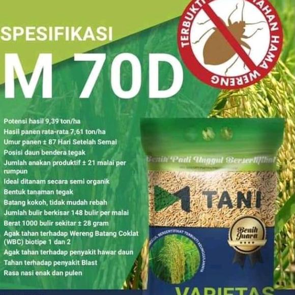 [KODE PRODUK MDWAE6375] Bibit padi m70d m70 asli m tani