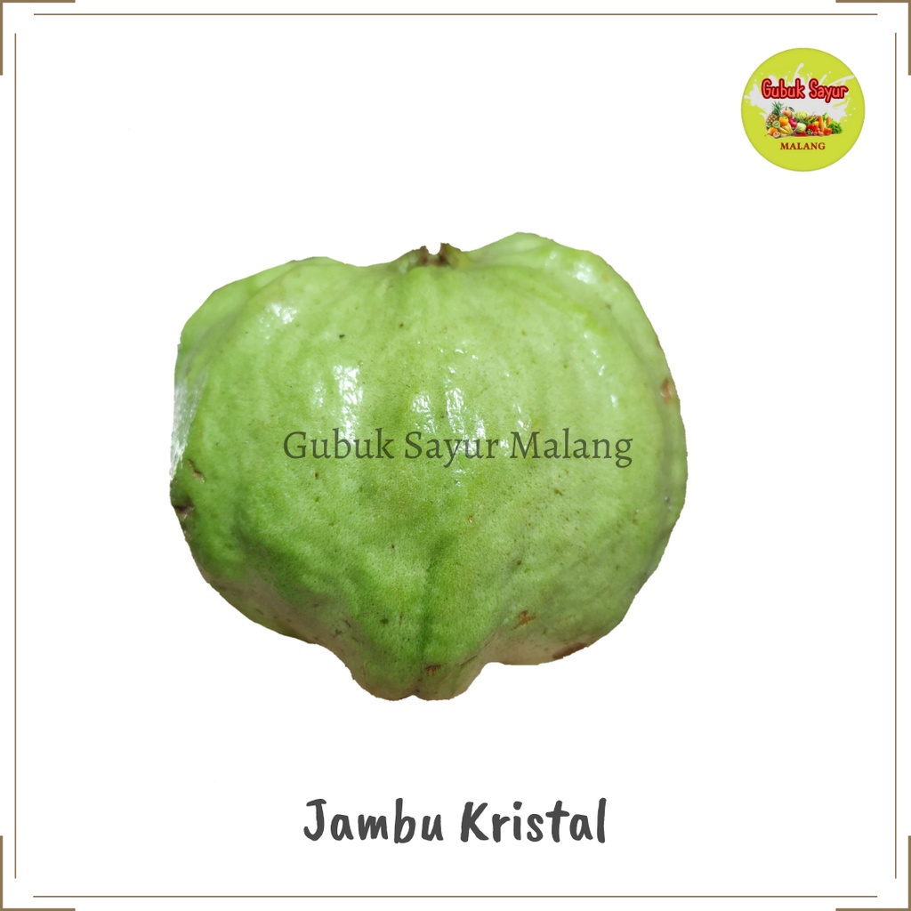 

Jambu Kristal Fresh 500 gram