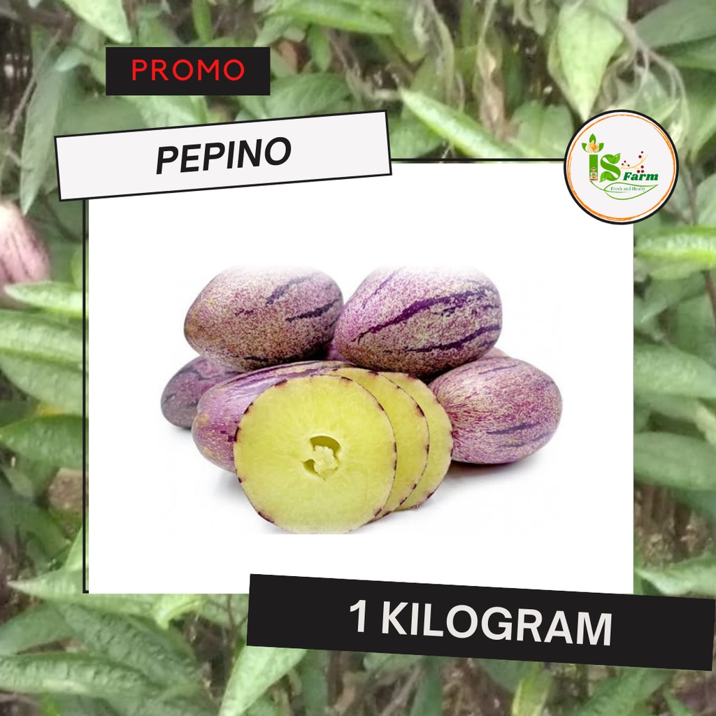 

Buah Pepino 1kg