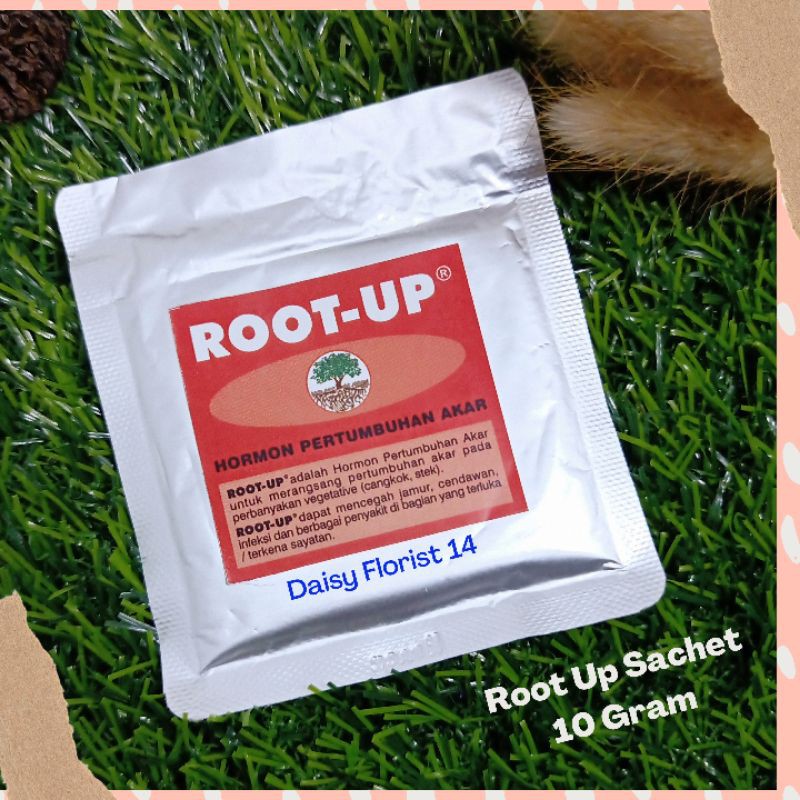 ROOT UP Sachet 10 gram Pupuk Akar