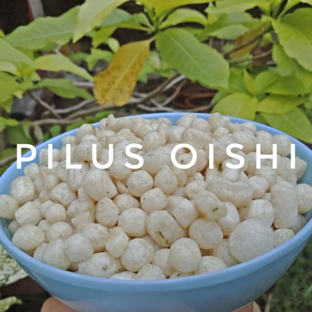 

PILUS OISHI OLEH OLEH KHAS TEGAL BY MIBITING OISHI