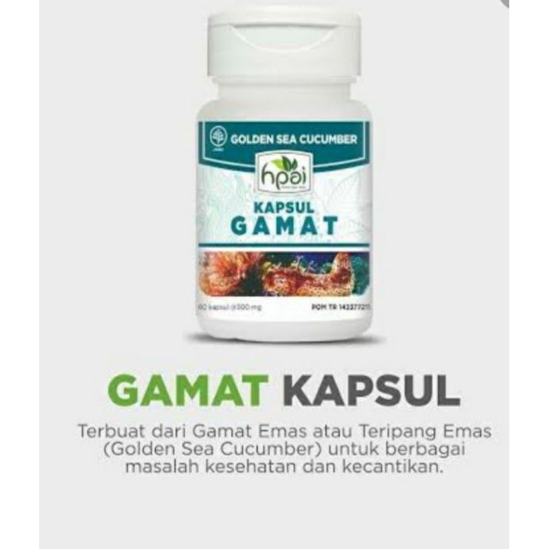 GAMAT Kapsul /Gamat HNI HPAI /nutrisi kulit dan tulang