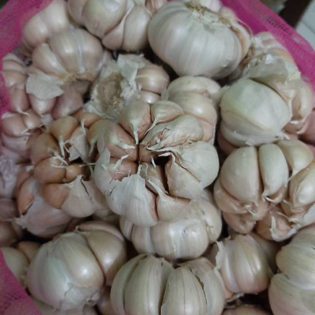 

Bawang putih