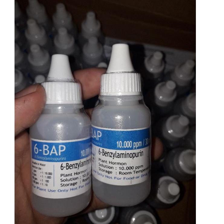 ➧ Hormon 6 BAP Biru / Benzylaminopurin (Penumbuh tunas Anggrek) ✻