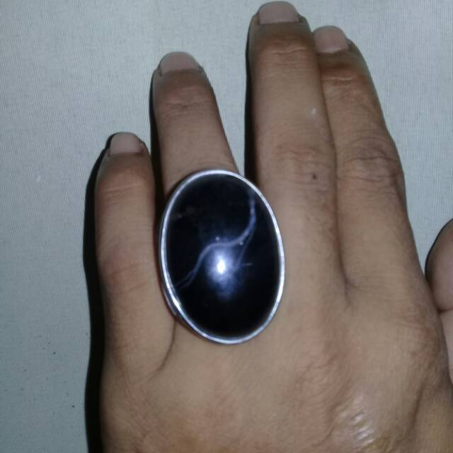 Batu akik fosil kayu kelapa