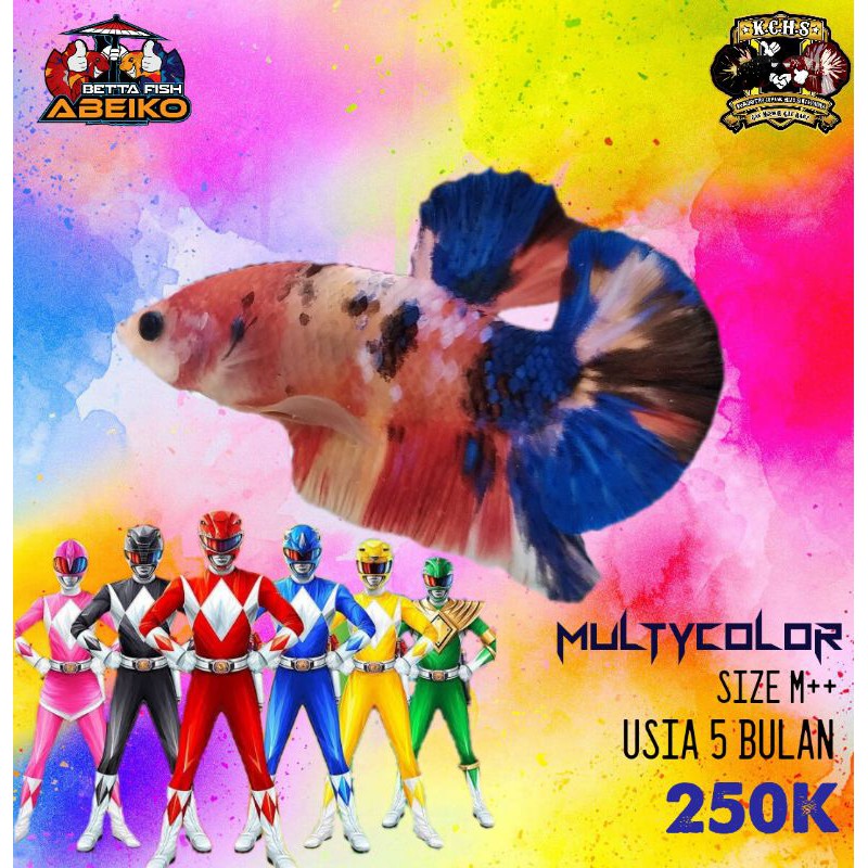 (COD) Yellow Base Multy dan HM Nemo Multy Thailand