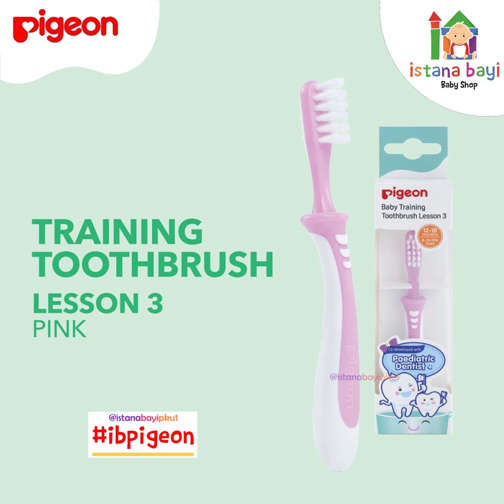 Pigeon Training Toothbrush Lesson - 3 - Sikat Gigi Bayi