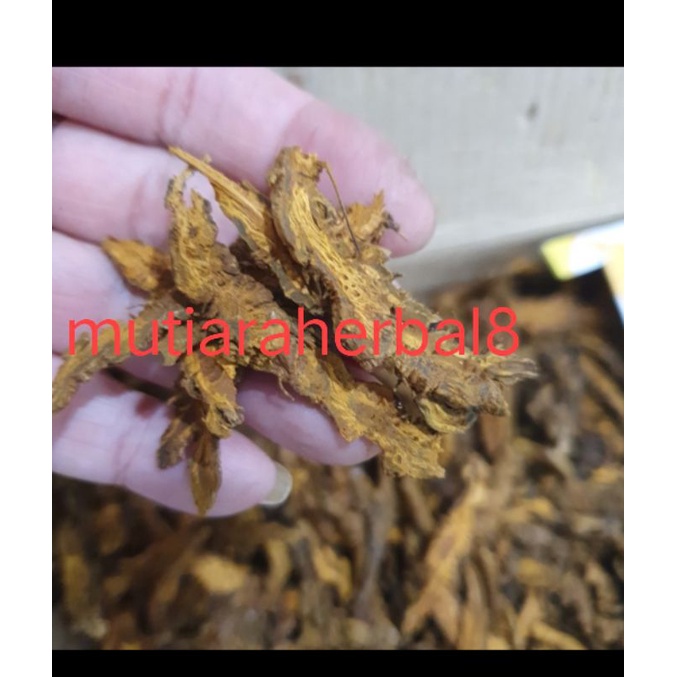 

HUANG LIAN / cuan lian pien 3gr ( Rhizoma Coptidis ) 黃連