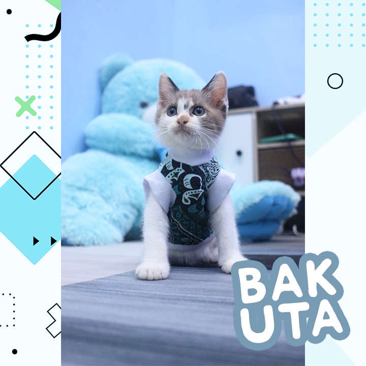Kaos Lengan pendek No Motif #3403 / Baju Kucing tangerang murah / baju kucing lucu size S-XL