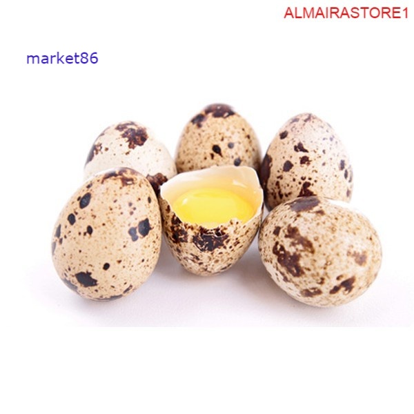 

Grosir Telur Puyuh Segar Quail Eggs per 10 Butir - Market86