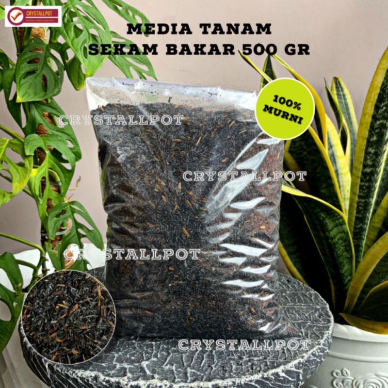 MEDIA TANAM ORGANIK SEKAM BAKAR MEDIA HIDROPONIK - SEKAM BAKAR 500 GR REPACK