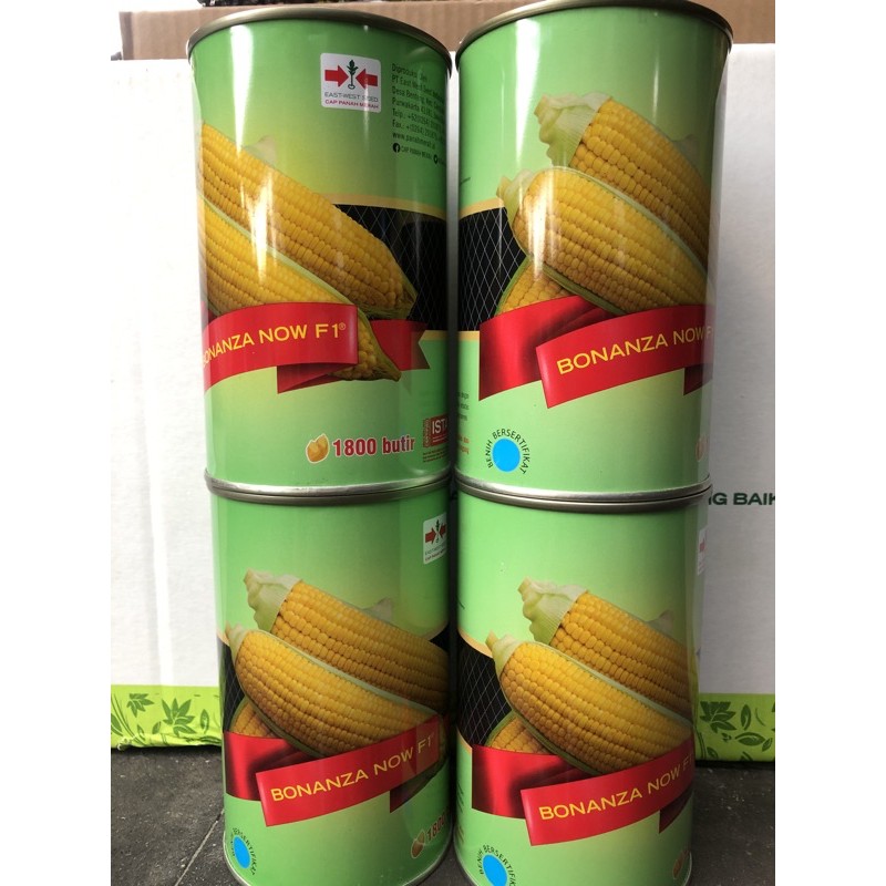 Benih Jagung Manis Bonanza F1 Cap Panah Merah Kemasan Kaleng 1800 biji