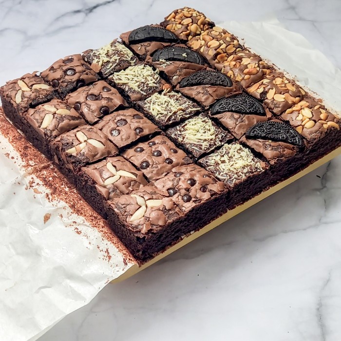 

T20R Brownies Brownkat Regular Ht501Gr