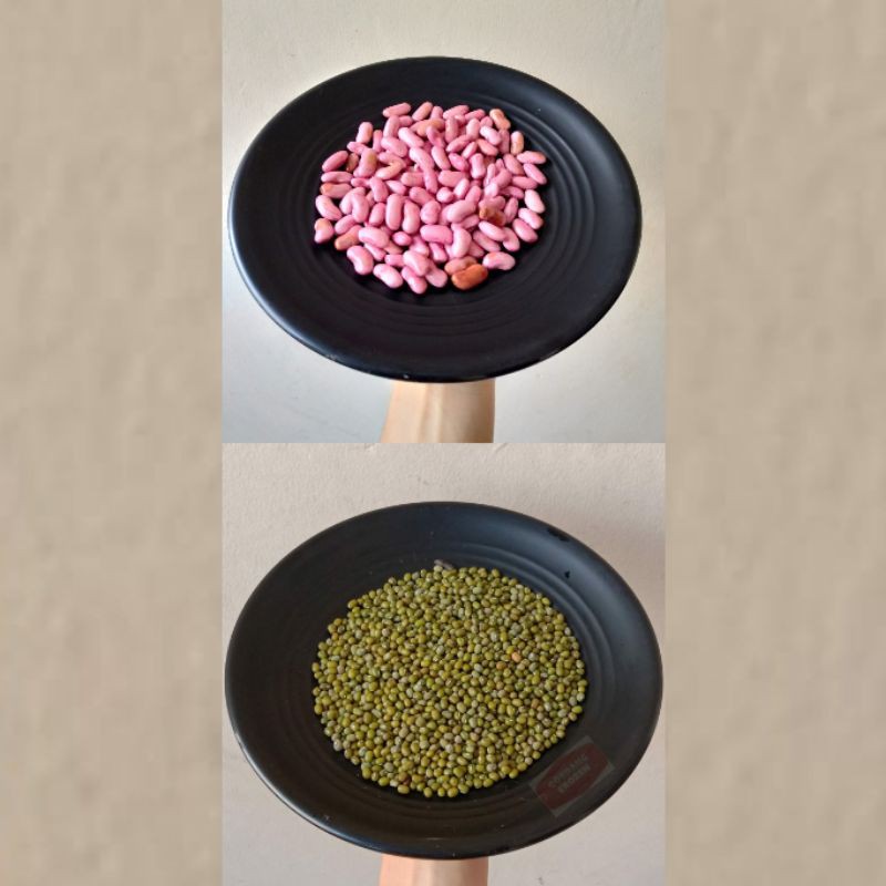 Kacang Merah / Hijau / Kedelai / Tolo 250gr