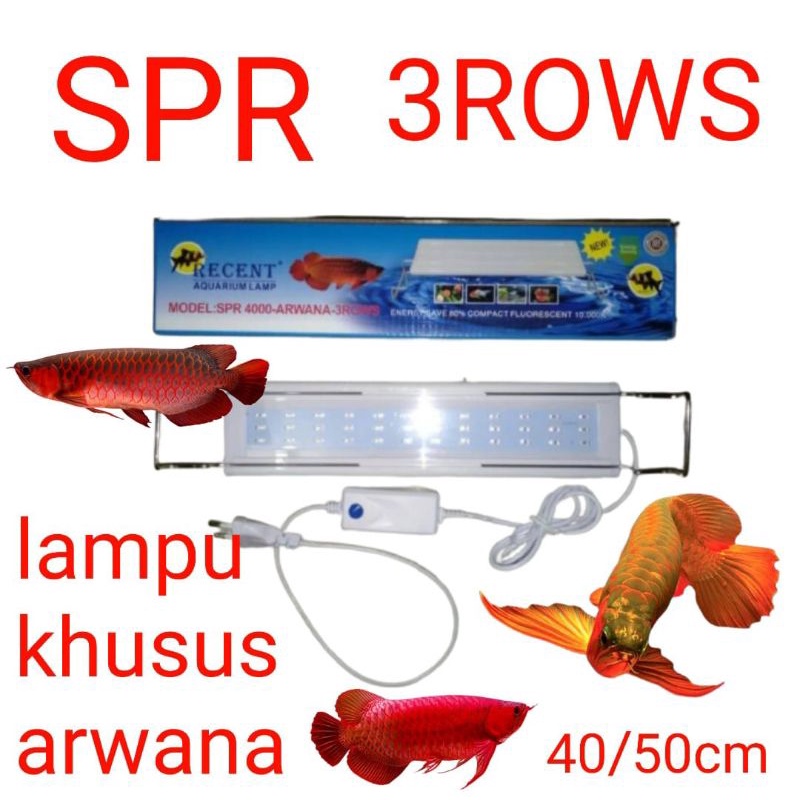 lampu ikan arwana led aquarium khusus ikan arwana SPR 4000 3ROWS