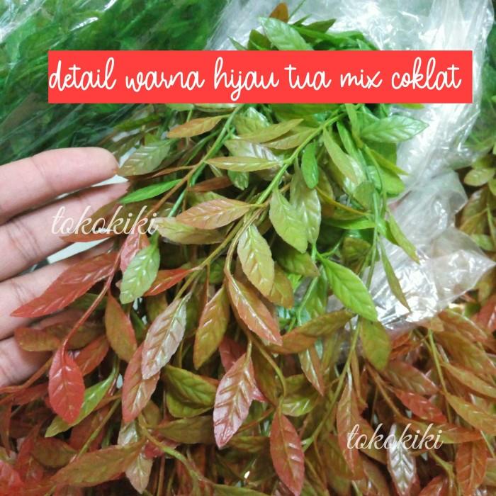 Best Seller Termurah Plant | Daun Lee Kwan Yew Artificial Daun Juntai Lee Kuan Yu