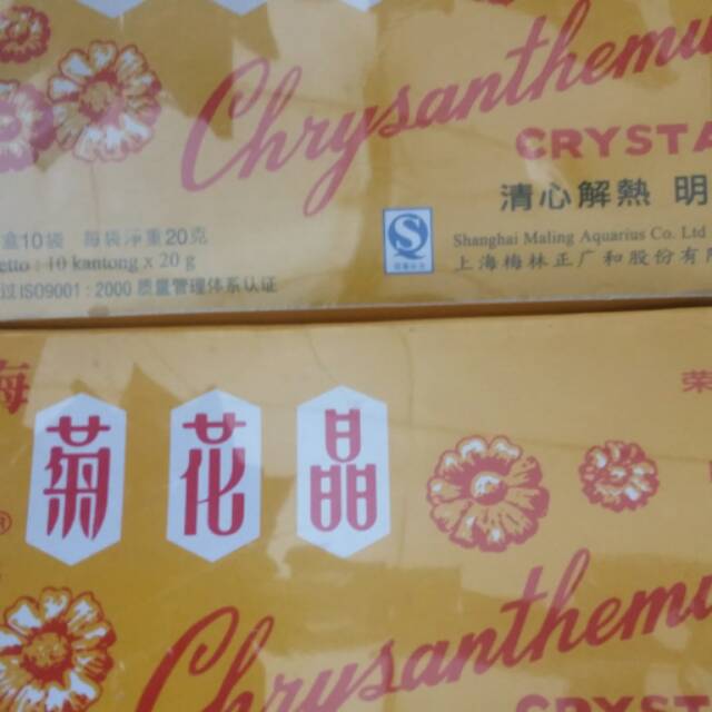 

Chrysanthemum buat panas dalam