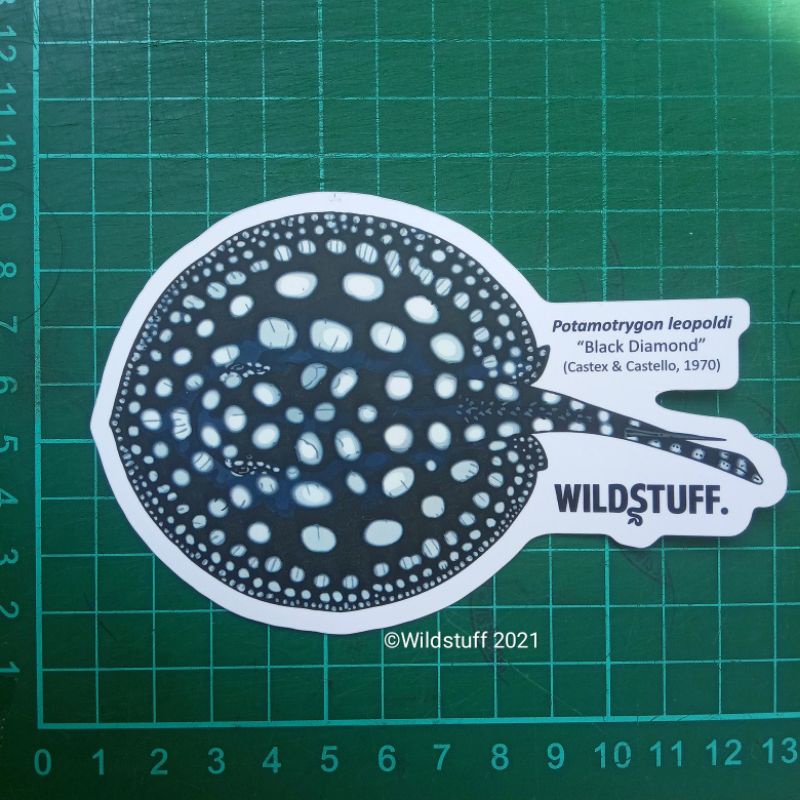 Sticker Wildstuff Black Diamond Stingray Potamotrygon leopoldi