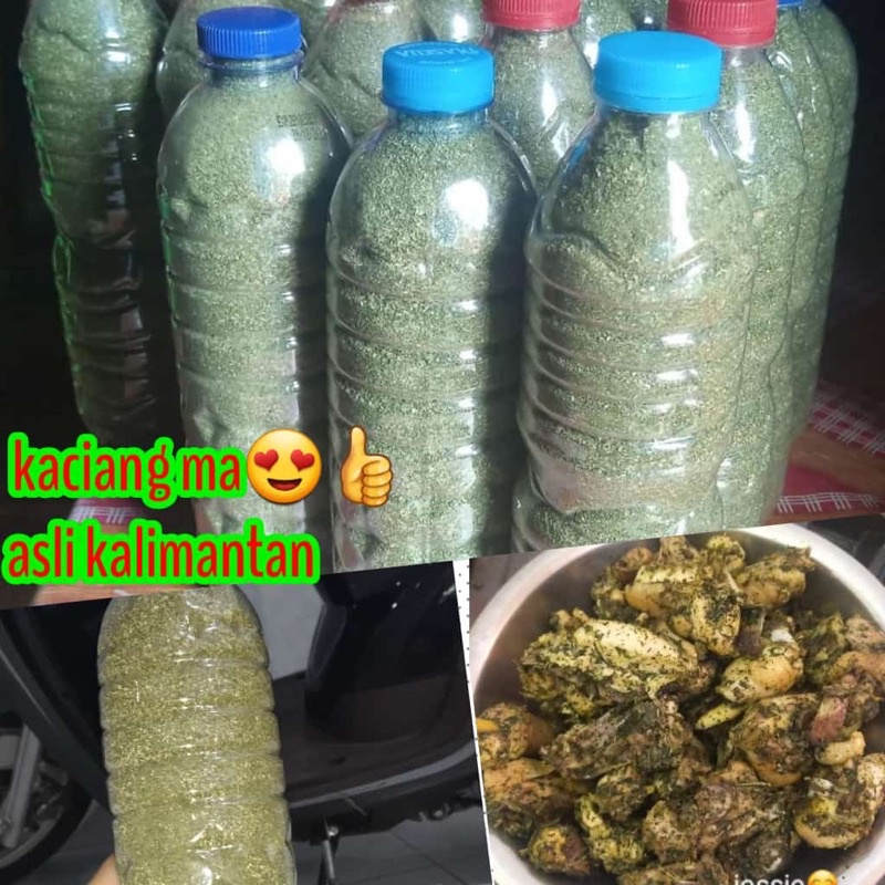 

BUBUK KACIANGMA ASLI 100%KALIMANTAN