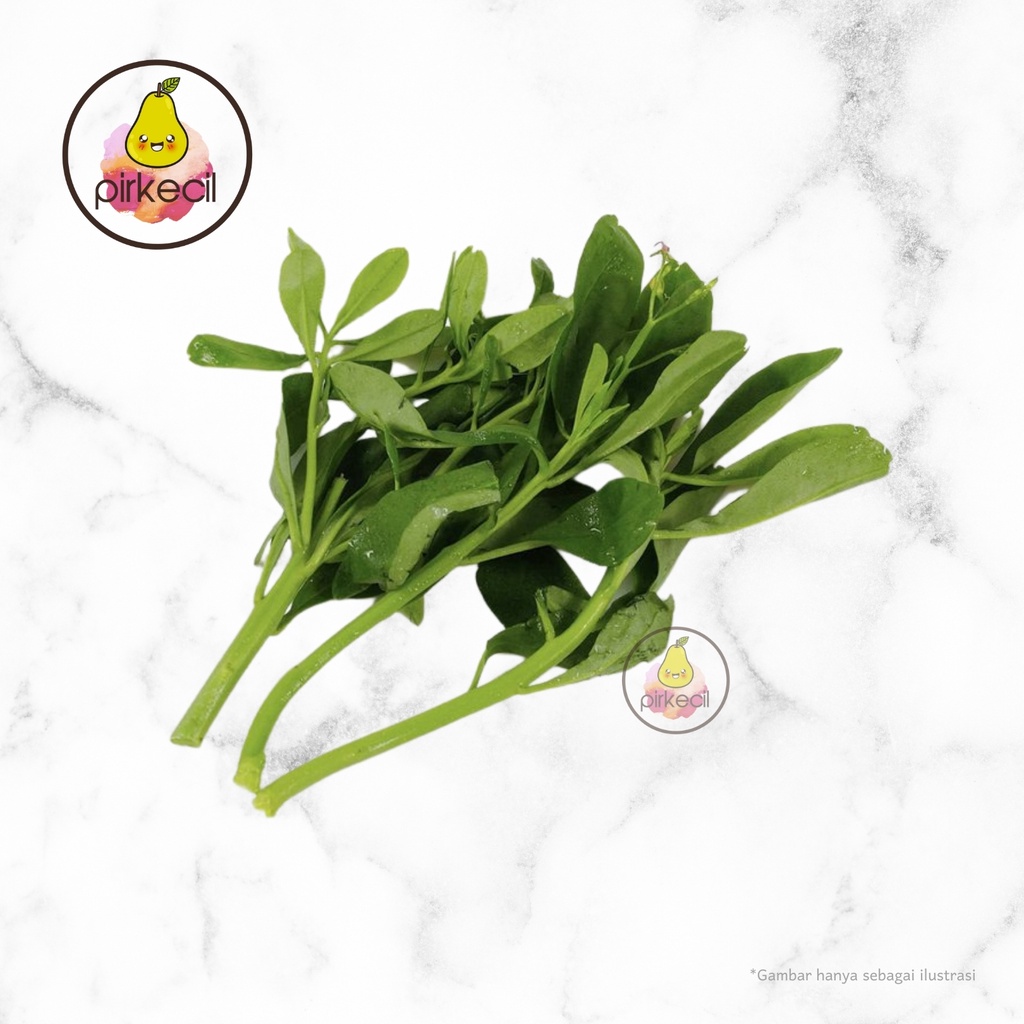 

[Paket GOCENG] Daun Ginseng