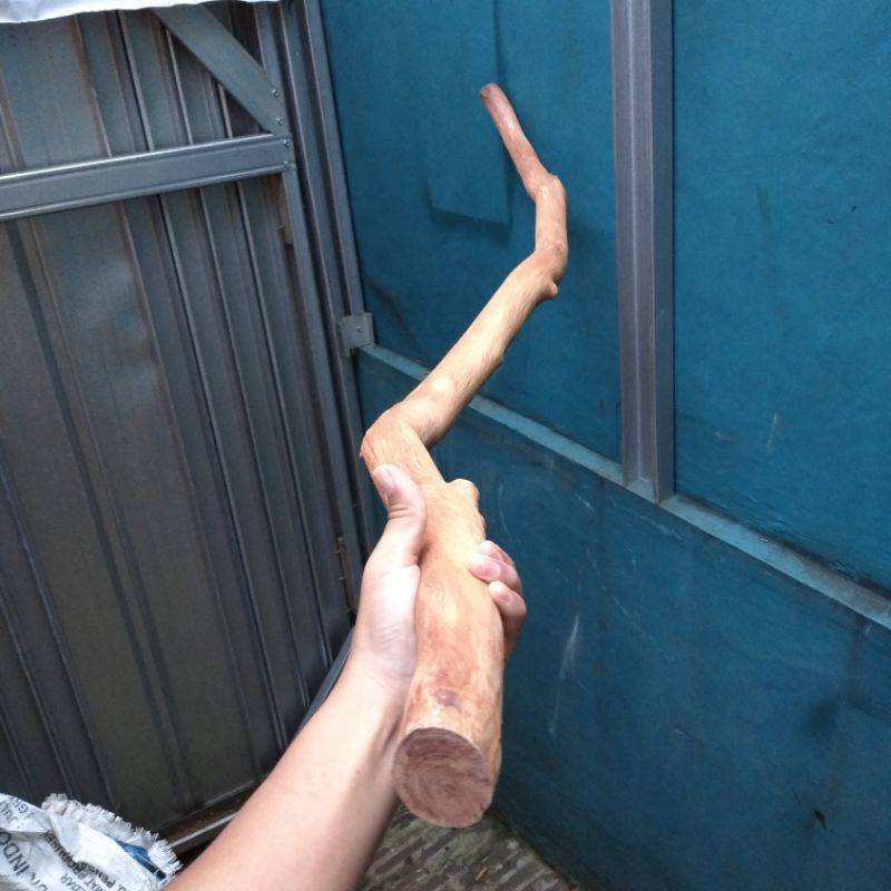 tongkat kayu nagasari merah bertuah