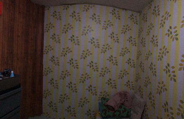 Wallpaper Dinding Murah Ruang Tamu Rumah Kamar Tidur Garis Hijau Berdaun Terbagus Terlaris Elegan