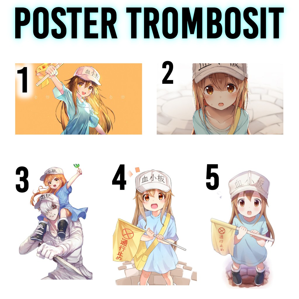 Poster Anime Loli Trombosit Hibiki Megumin Sagiri Hataraku Saibou Konosuba Kancolle Eromanga