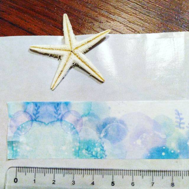 

Share Washitape Sample Pemandangan Laut 20cm x 3cm- Share Washi tape Share Washitape versi bagi bagi