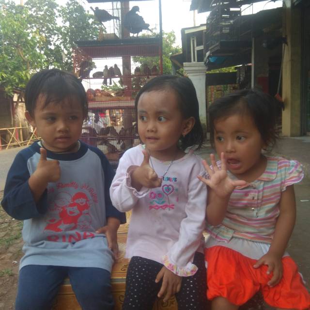rt_arief