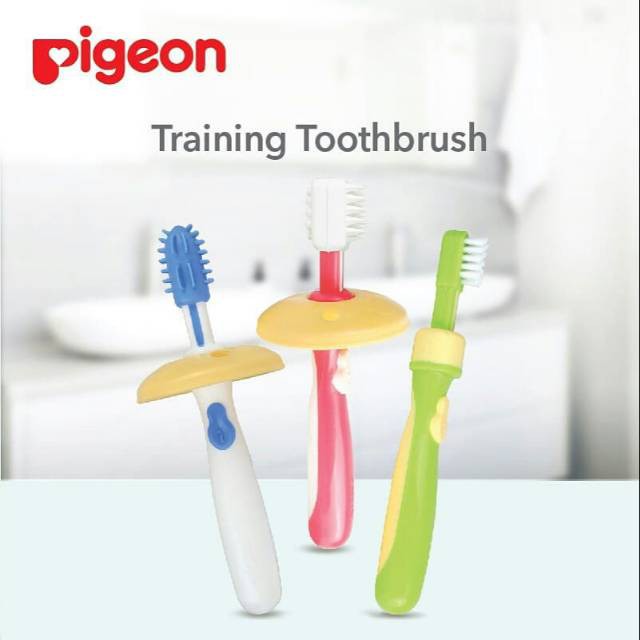 Pigeon Training Toothbrush Lesson 1 2 3