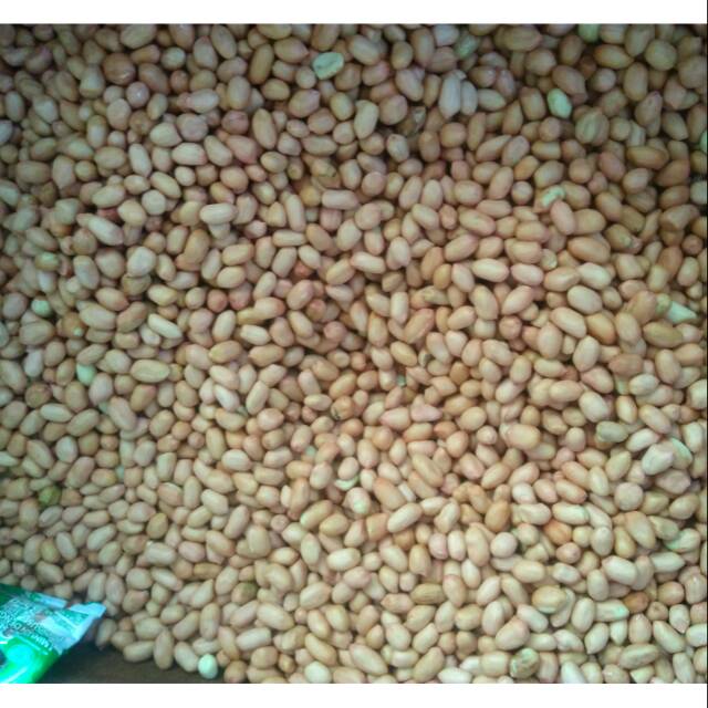 

Kacang Tanah Tuban Super Biji Besar