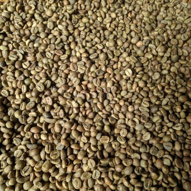 greenbean kopi biji robusta lampung grade 1 1kg