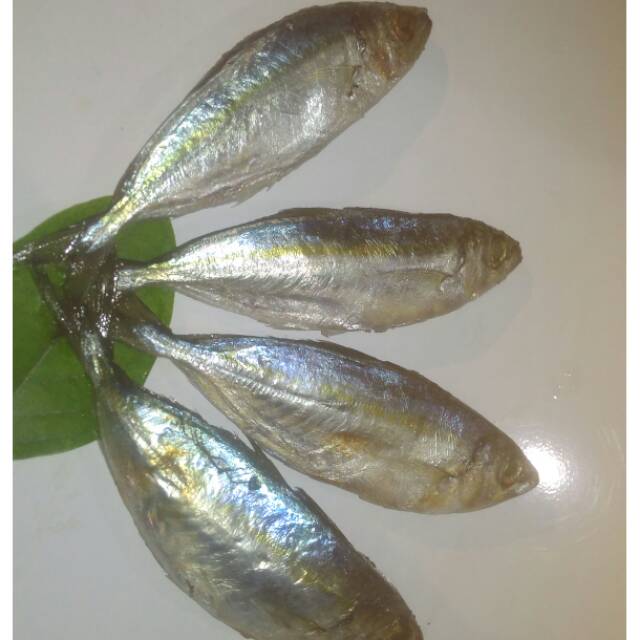 

Ikan Mandring