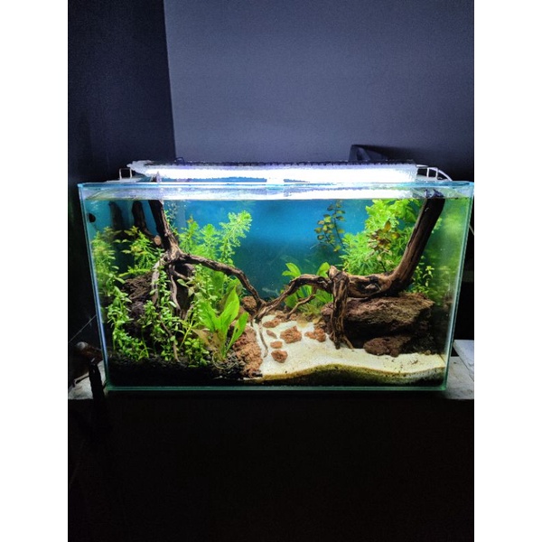 Aquarium Full Set Aquascape 60S