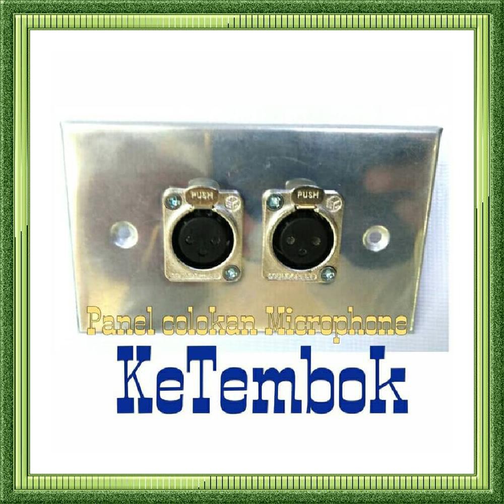 Colokan Microphone Tembok 2 input