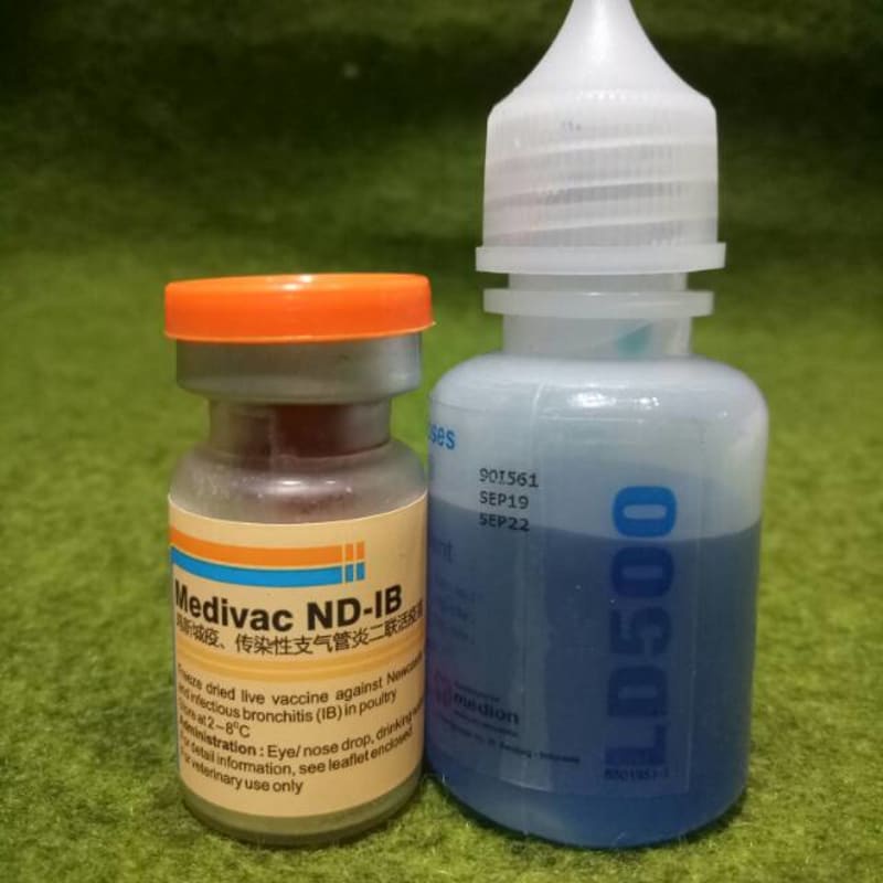 Vaksin ayam / medivac nd ib